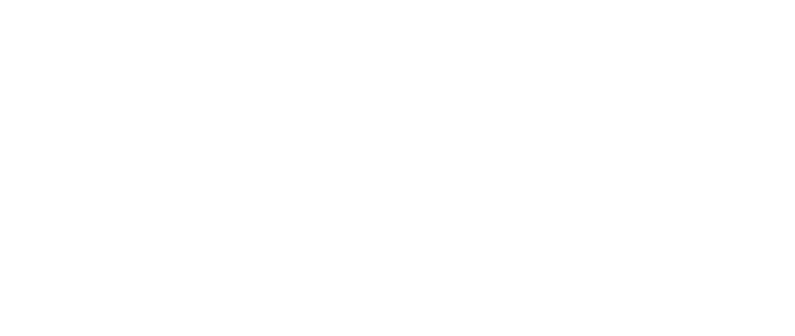 国际护照 荷属安的列斯群岛护照 - 华人加速器